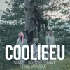 About CooLieeu Song