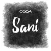 About Sani Song