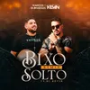 About Bixo Solto Song