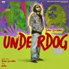 About Underdog Song