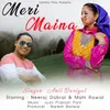 About Meri Maina Song