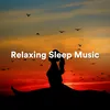Peaceful Sleeping Music