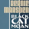 About Black Cat Moan Song