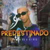 About Predestinado Song