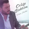 About Çeker Giderim Song