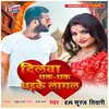 About Dilwa Dhak Dhak Dhadake Lagal Song