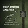 Violin Concerto No. 1 in A Minor, BWV 1041: III. Allegro assai