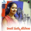 About Chiluka Mukku Jeedi Ginja Song