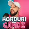 About Horquri Gandz Song