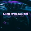 About NIGHTSNAKES Song