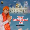 About Teri Meharbani Ae Song