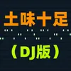 About 土味十足 DJ版 Song