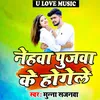 About Nehawa Poojawa ke Ho Gele Song