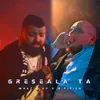 About Greseala ta Song