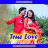 About True Love Song