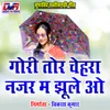 Gajbe Suhay Rani Tor Boli Chhattisgarhi Geet