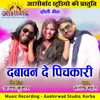 About Dabavan De Pichkari Chhattisgarhi Holi Geet Song