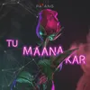 About Tu Mana Kar Song