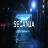 About Secanja Song
