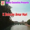 About K Boleche Amar Hari Song