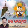 About He Jagannath Song