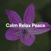 Calm Relax Peace, Pt. 4