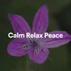 Calm Relax Peace, Pt. 9