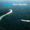 Amazon Forest Rain