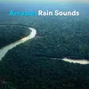 Rain in the Amazon