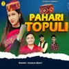 About Pahari Topoli Song