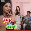 About Hamar Chadli Jawani Song