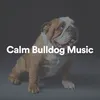 Calm Bulldog Music, Pt. 2