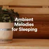 Ambient Melodies for Sleeping, Pt. 8