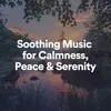 Soothing Music for Calmness, Peace & Serenity, Pt. 1