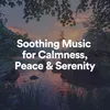 Soothing Music for Calmness, Peace & Serenity, Pt. 3