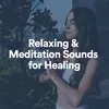 Relaxing & Meditation Sounds for Healing, Pt. 1