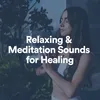 Relaxing & Meditation Sounds for Healing, Pt. 3