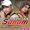 About Ja Rahe Hain Sanam Song