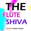 About The Flute Shiva Song