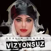 About Vizyonsuz Song