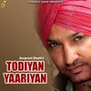 About Todiyan Yaariyan Song