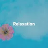 Relaxation, Pt. 13
