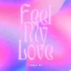 About Feel my love Song