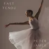 About Fast Tendu Song