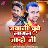 About Jawani Chuwe Lagal Jado Ji Song