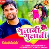 About Gulabi Gulabi Song