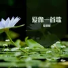 About 爱像一首歌 Song