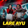 About Lare Ayu Koplo Version Song