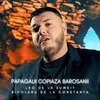 About Papagalii copiaza barosanii Song
