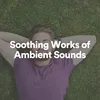 Soothing Works of Ambient Sounds, Pt. 1